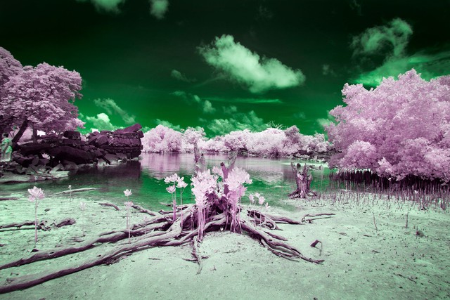 Bí ẩn 'hòn đảo mù màu' giữa Thái Bình Dương: Nơi cư dân chỉ nhìn thấy thế giới trong hai màu đen trắng- Ảnh 2.