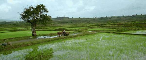 Hiếm ai “flex” thiên nhiên Việt Nam đỉnh như Victor Vũ, có nơi phải dừng đón khách vì quá hot- Ảnh 1.