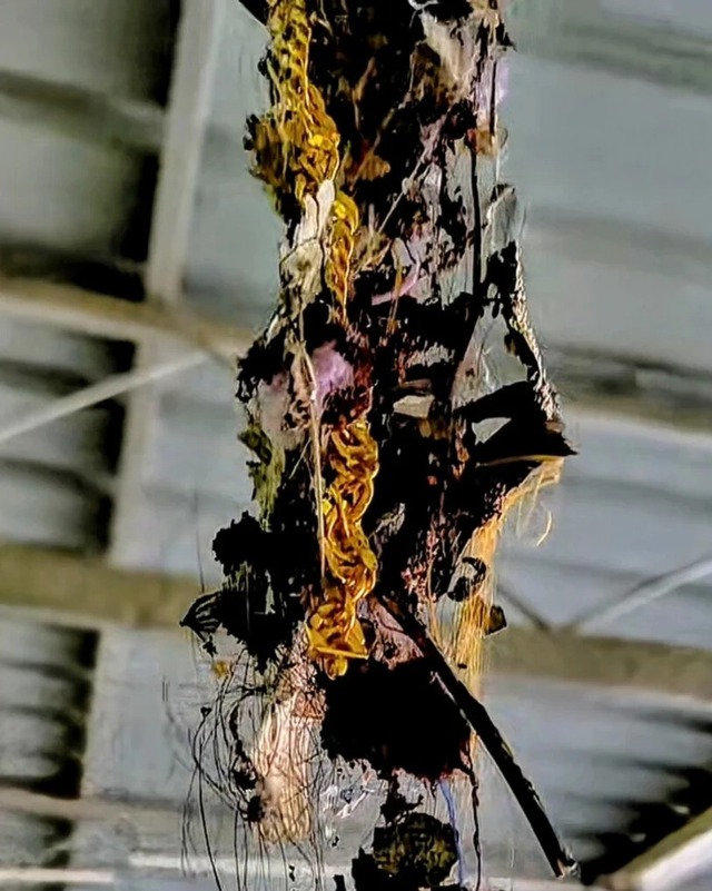 Ngó vào tổ chim, người đàn ông sửng sốt tìm thấy vàng: Chuyện xảy ra sau đó khiến anh day dứt không thôi- Ảnh 2.