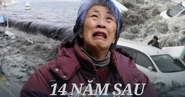 14 năm sau thảm họa kép: Nhật Bản vẫn sống trong cơn ác mộng về địa chấn, 27.615 người chưa thể trở về nhà và những tiên tri đầy ám ảnh toan canh covid 19 quay lai tai chau a 4 17516111287361189050324 28 0 531 960 crop 17516140259641628734285png