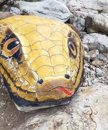 "Trăn khổng lồ" giữa suối khiến du khách hoảng sợ, ban quản lý nói: Nó đã ở đây hàng trăm triệu năm tran 3 17586012950502017899441 1758613342866 17586133437651780035596