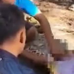 Thảm kịch ở đảo du lịch Đông Nam Á: Tìm thấy thi thể người đàn ông trong bụng con trăn dài gần 9 mét tran 3 91673879353596690805507 1752069828221 1752069828598800206628 73 0 493 672 crop 1752069851653487527111png