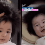 MXH phát cuồng vì bé Haru: 5 tháng tuổi siêu nhiều tóc, gương mặt "gen trội" chuẩn quý tử Kbiz trang suc thang 8 12 con giap 1753781538667760641784 1753788228680 1753788229759769011470 0 0 400 764 crop 1753788740606344617507gifpng