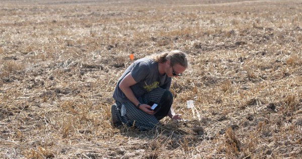 Phát hiện kho báu vô giá tại một địa điểm bí mật ở châu Âu treasure trove priceless celtic gold 112730420 17600817999701457916487 1760082119922 1760082120071631523144 31 0 671 1024 crop 17600821489771141284690jpg