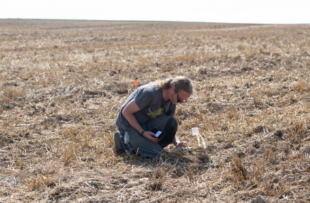 Phát hiện kho báu vô giá tại một địa điểm bí mật ở châu Âu- Ảnh 2.