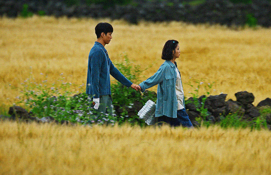 Có một Jeju đẹp nao lòng ở Khi Cuộc Đời Cho Bạn Quả Quýt, ai nhìn qua cũng đắm say cả đời- Ảnh 4.