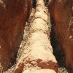 Người đàn ông đào trúng cây gỗ chết khô dài 30m: Hiện trường bị phong tỏa ngay lập tức, chuyên gia định giá là “kho báu trời cho” 660 tỷ đồng tuong cay chet kho ai ngo la go hoa ngoc dang gia ngan vang 1742224483464 1742224484015305515193 192 0 613 673 crop 17422245412751371058952jpg