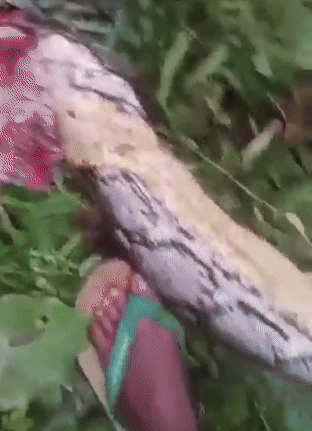 Ra vườn rau tìm mẹ, con trai bỗng hét lớn rồi ngã quỵ: Hàng xóm chạy ra chứng kiến cảnh ám ảnh- Ảnh 2. Ra vườn rau tìm mẹ, con trai bỗng hét lớn rồi ngã quỵ: Hàng xóm chạy ra chứng kiến cảnh ám ảnh- Ảnh 2.