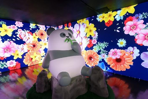 Gấu trúc phủ sóng khắp Hồng Kông dịp Tết 2025, chuyện gì xảy ra?- Ảnh 3. Gấu trúc phủ sóng khắp Hồng Kông dịp Tết 2025, chuyện gì xảy ra?- Ảnh 3.