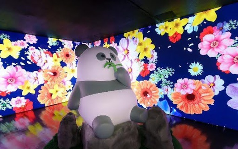 Gấu trúc phủ sóng khắp Hồng Kông dịp Tết 2025, chuyện gì xảy ra?- Ảnh 1. Gấu trúc phủ sóng khắp Hồng Kông dịp Tết 2025, chuyện gì xảy ra?- Ảnh 1.