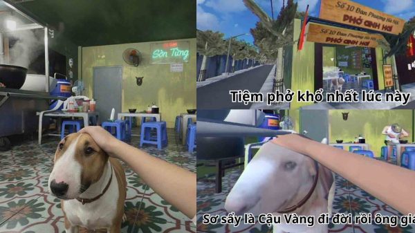 Game Quán Phở Anh Hai gây sốt, quán ăn Hà Nội bỗng đông khách vì nuôi “cậu Vàng” giống trong game untitled 1 robdjpg
