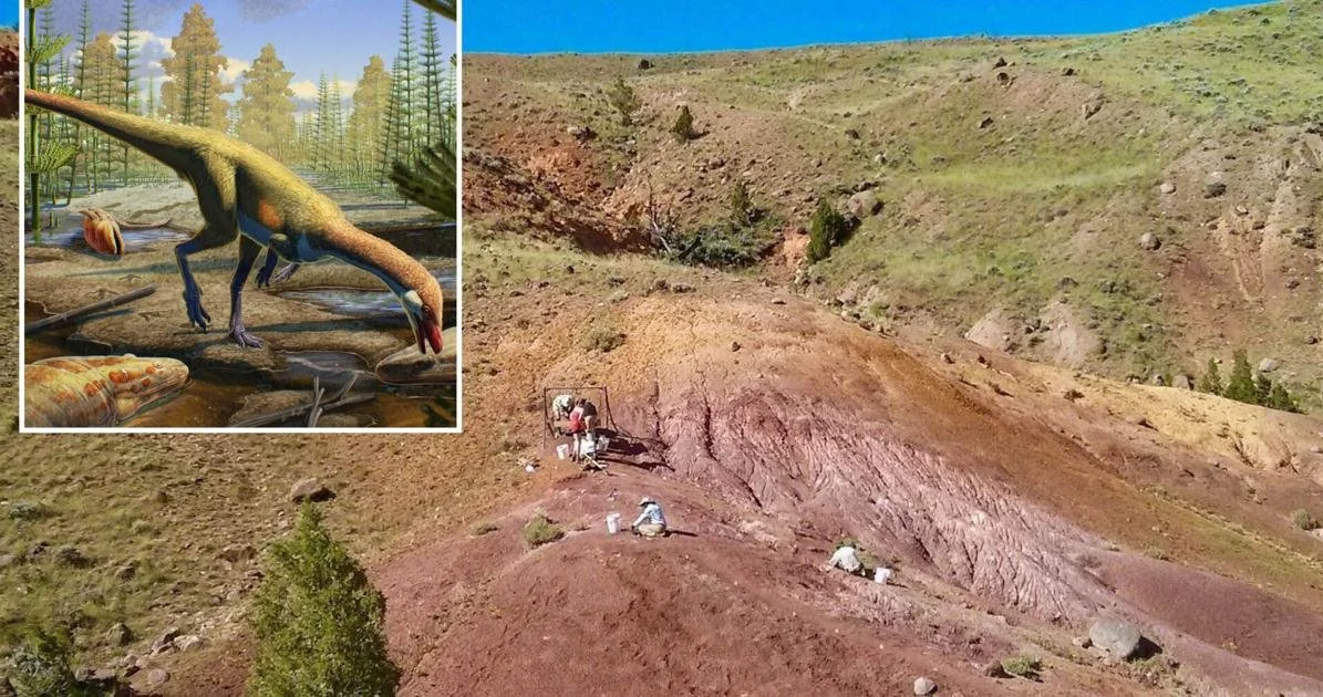 Mỹ: Xuất hiện sinh vật kỳ lạ viết lại lịch sử loài khủng long- Ảnh 1. Mỹ: Xuất hiện sinh vật kỳ lạ viết lại lịch sử loài khủng long- Ảnh 1.