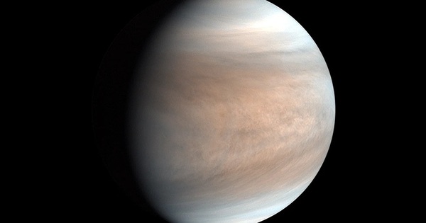 Chuyện có thật: “Hành tinh tình yêu” sẽ tỏa sáng cực đại đúng lễ tình nhân untitled 1739414537967538793067 1739437284590 17394372849681651949317 0 47 546 921 crop 17394373411051015091278jpg