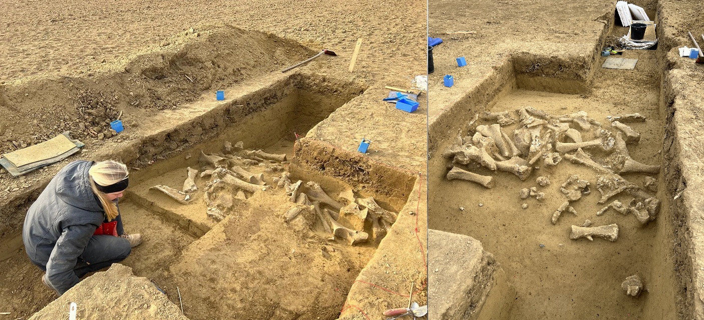 Phát hiện nghĩa địa 25.000 năm của những quái vật khổng lồ- Ảnh 1. Phát hiện nghĩa địa 25.000 năm của những quái vật khổng lồ- Ảnh 1.