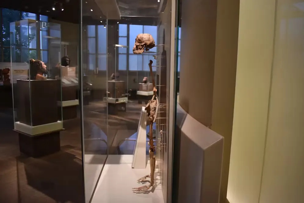 Bí ẩn loài người