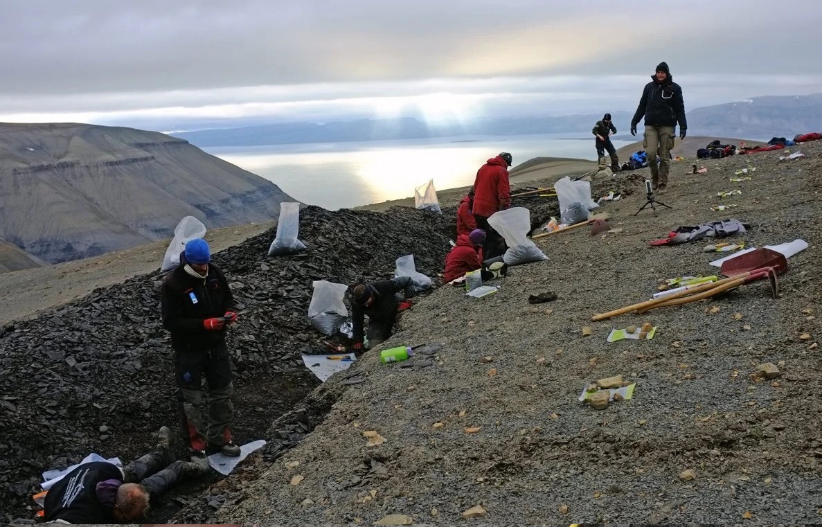 Xuất hiện đàn thủy quái 249 triệu tuổi đảo lộn lịch sử tiến hóa- Ảnh 1. Xuất hiện đàn thủy quái 249 triệu tuổi đảo lộn lịch sử tiến hóa- Ảnh 1.