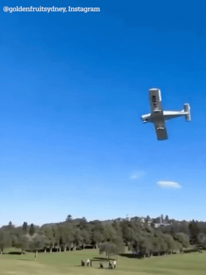 Khoảnh khắc máy bay nhỏ rơi thẳng xuống sân golf trong sự hoảng loạn của tất cả mọi người- Ảnh 1.