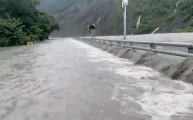 Toàn cảnh mưa bão tàn phá Đài Loan (Trung Quốc): 4 người chết, 3 người mất tích, 77 người bị thương và gần 6.000 người phải sơ tán- Ảnh 4.