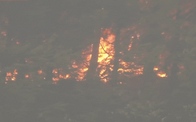 Châu Âu đang đỏ lửa như địa ngục: Người tử vong vì say nắng, nhiệt độ cao kỷ lục, cháy rừng khắp nơi và hàng ngàn người phải sơ tán- Ảnh 10. Châu Âu đang đỏ lửa như địa ngục: Người tử vong vì say nắng, nhiệt độ cao kỷ lục, cháy rừng khắp nơi và hàng ngàn người phải sơ tán- Ảnh 10.