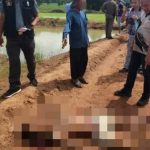 Thái Lan: Cháu trai bị ông rút súng bắn tử vong ngay trên cánh đồng, nghe lời khai của nghi phạm mà xót xa untitled1 17508203459711991280238 0 51 720 1203 crop 17508203519971777904073 17508290010091203464821 0 0 412 659 crop 17508290050792002228358jpg