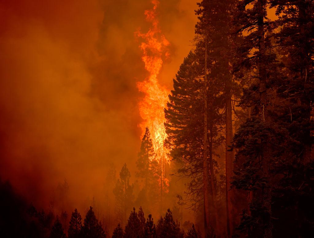 Trái đất vẫn còn cơ hội- Ảnh 1. Trái đất vẫn còn cơ hội- Ảnh 1.