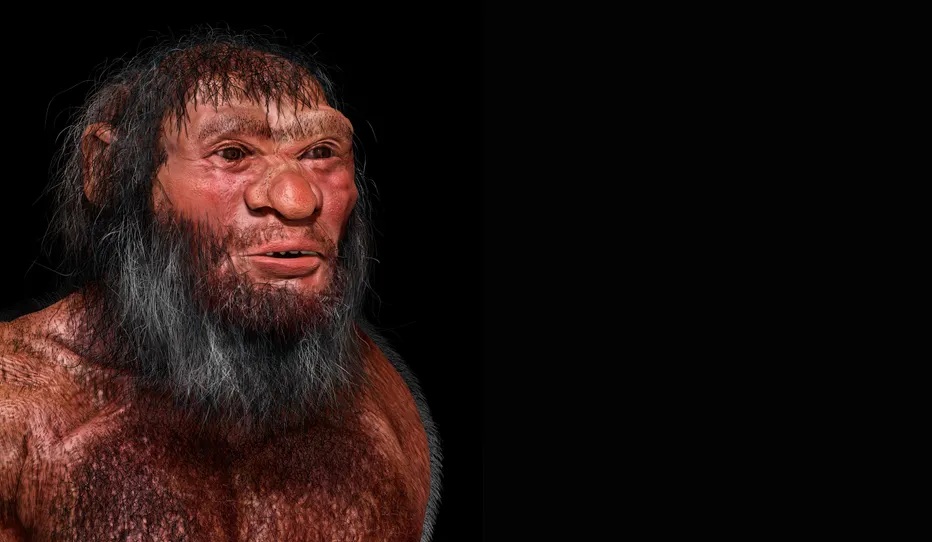 Sự thật về hài cốt Người Rồng khổng lồ ở Cáp Nhĩ Tân- Ảnh 1.