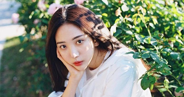 Tình tiết gây phẫn nộ về vụ nữ MC 28 tuổi để lại 17 trang thư tuyệt mệnh uuzvq3lmlbkiqyakc1vfhnrri0ruqxg 1738899267170104701064 64 0 553 934 crop 17388992777401967436386jpg