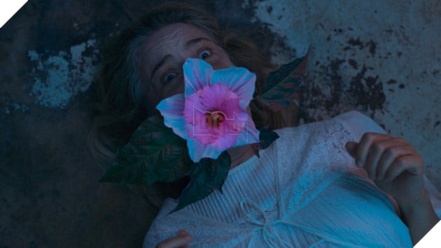 Veins: Dao Dien Raymond St-Jean Va Nhung Tam Su Ve Body Horror 2 Hình ảnh về phim Veins.