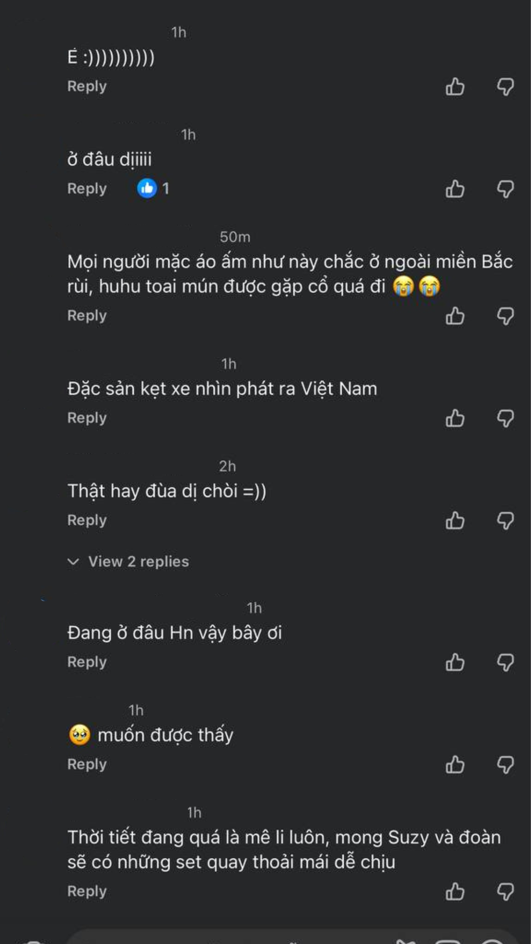 HOT: Suzy đang có mặt ở Việt Nam, cả MXH soi từ hàng cây cho đến vỉa hè để tìm địa điểm check-in- Ảnh 4.