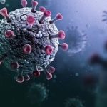 Chủng virus corona mới phát hiện có nguy cơ lây lan mạnh như COVID-19? virus giong covid 02277308863686 1740292254948469790847 0 0 398 637 crop 17402922579412144263862jpg