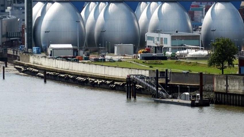 “Kho báu đại dương” Blue Carbon giúp giảm phát thải, phục hồi hệ sinh thái- Ảnh 3.