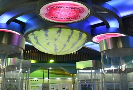 Bảo tàng dưa hấu ở thị trấn Panggezhuang. Ảnh: Sohu