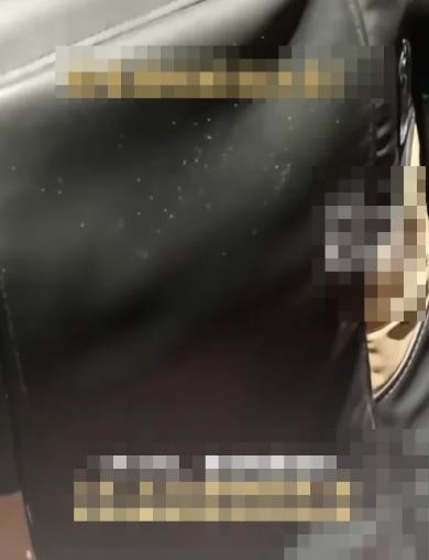 Vừa ngồi xuống ghế, người phụ nữ tái mặt khi chứng kiến cảnh tượng nổi da gà- Ảnh 1.