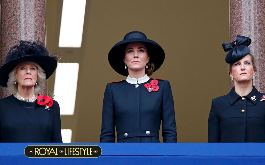 Cộng đồng fan hoàng gia nổi trận lôi đình vì Vương phi Kate bị