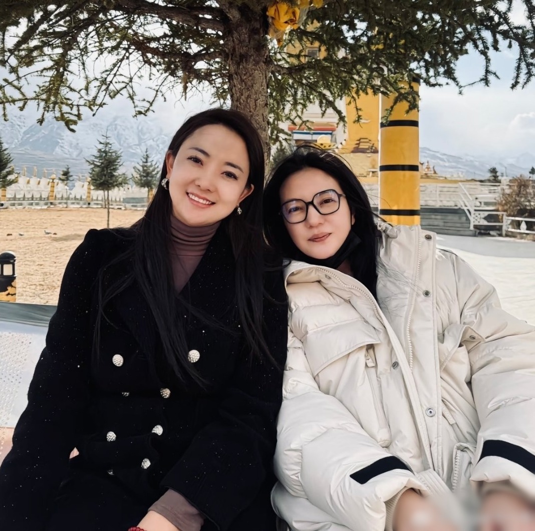 Triệu Vy còn gì sau cú