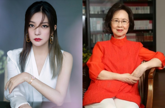 Nhan sắc gây lú của Triệu Vy- Ảnh 4.