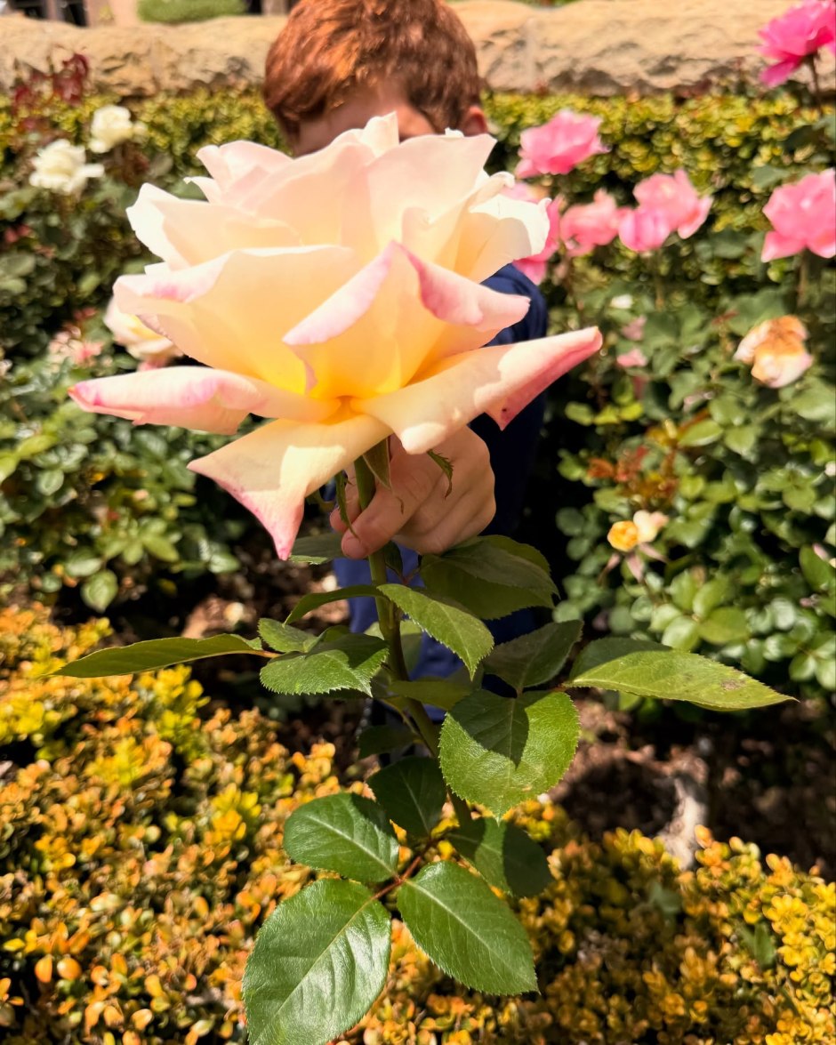 Meghan khoe ảnh mới của Hoàng tử Archie và Công chúa Lilibet cùng mái tóc đỏ tuyệt đẹp- Ảnh 3.