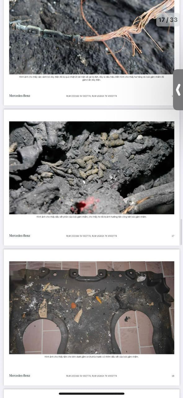 Ca sĩ Duy Mạnh kiện Mercedes Việt Nam- Ảnh 2.