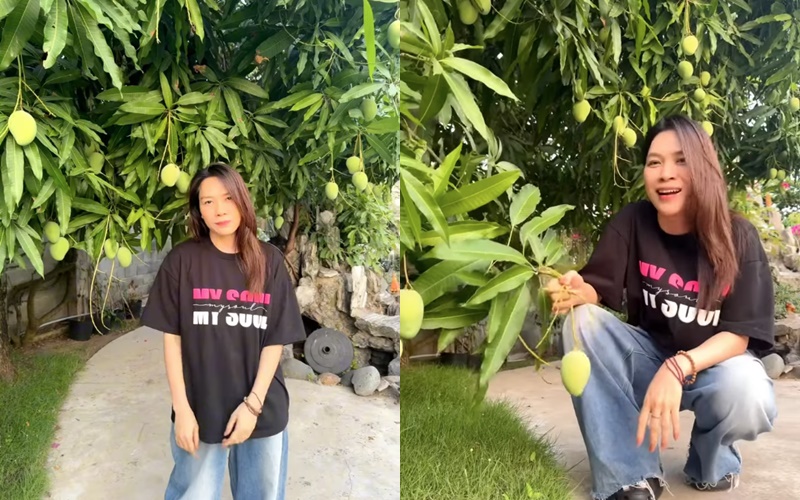 Thú vui đặc biệt của Mỹ Tâm: Trong nhà nữ ca sĩ có gì mà mới Thú vui đặc biệt của Mỹ Tâm: Trong nhà nữ ca sĩ có gì mà mới