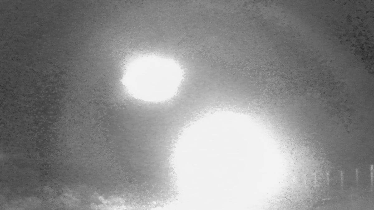 Đặt camera ẩn trong rừng hoang, phát hiện hình ảnh sốc- Ảnh 1.