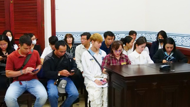 Em gái nghệ sĩ Vũ Linh kháng cáo- Ảnh 2.