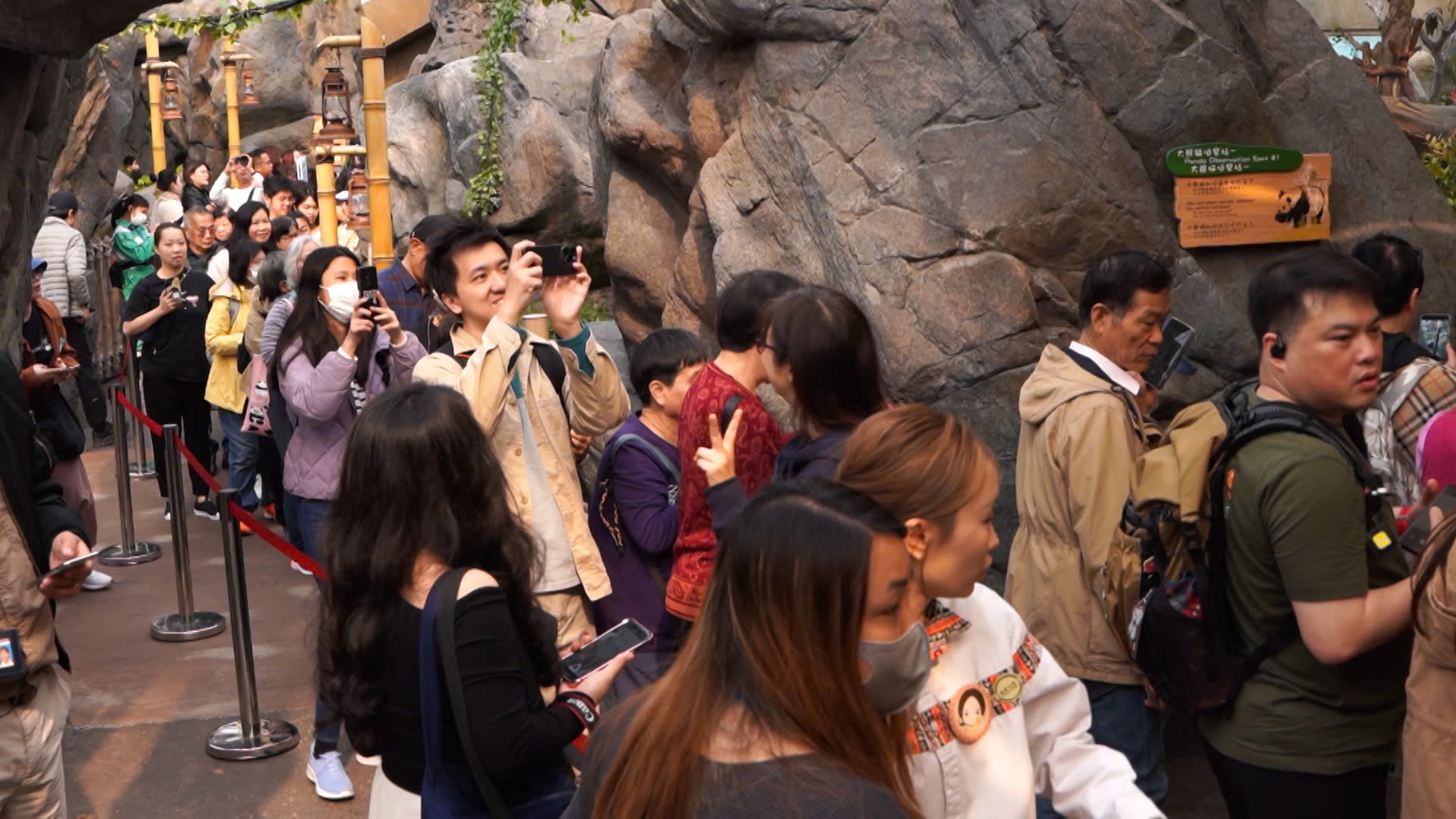 Hàng dài du khách xếp hàng, hào hứng được ghé thăm cặp gấu trúc song sinh siêu đáng yêu ở Hồng Kông (Trung Quốc)- Ảnh 10. Hàng dài du khách xếp hàng, hào hứng được ghé thăm cặp gấu trúc song sinh siêu đáng yêu ở Hồng Kông (Trung Quốc)- Ảnh 10.