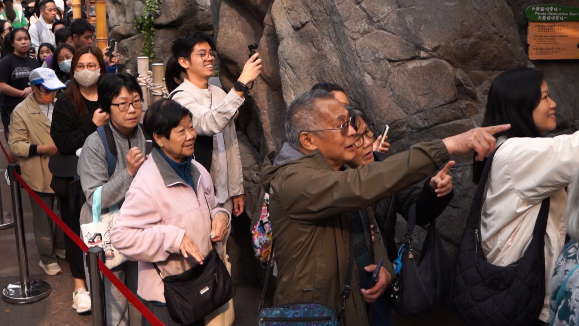 Hàng dài du khách xếp hàng, hào hứng được ghé thăm cặp gấu trúc song sinh siêu đáng yêu ở Hồng Kông (Trung Quốc)- Ảnh 12. Hàng dài du khách xếp hàng, hào hứng được ghé thăm cặp gấu trúc song sinh siêu đáng yêu ở Hồng Kông (Trung Quốc)- Ảnh 12.