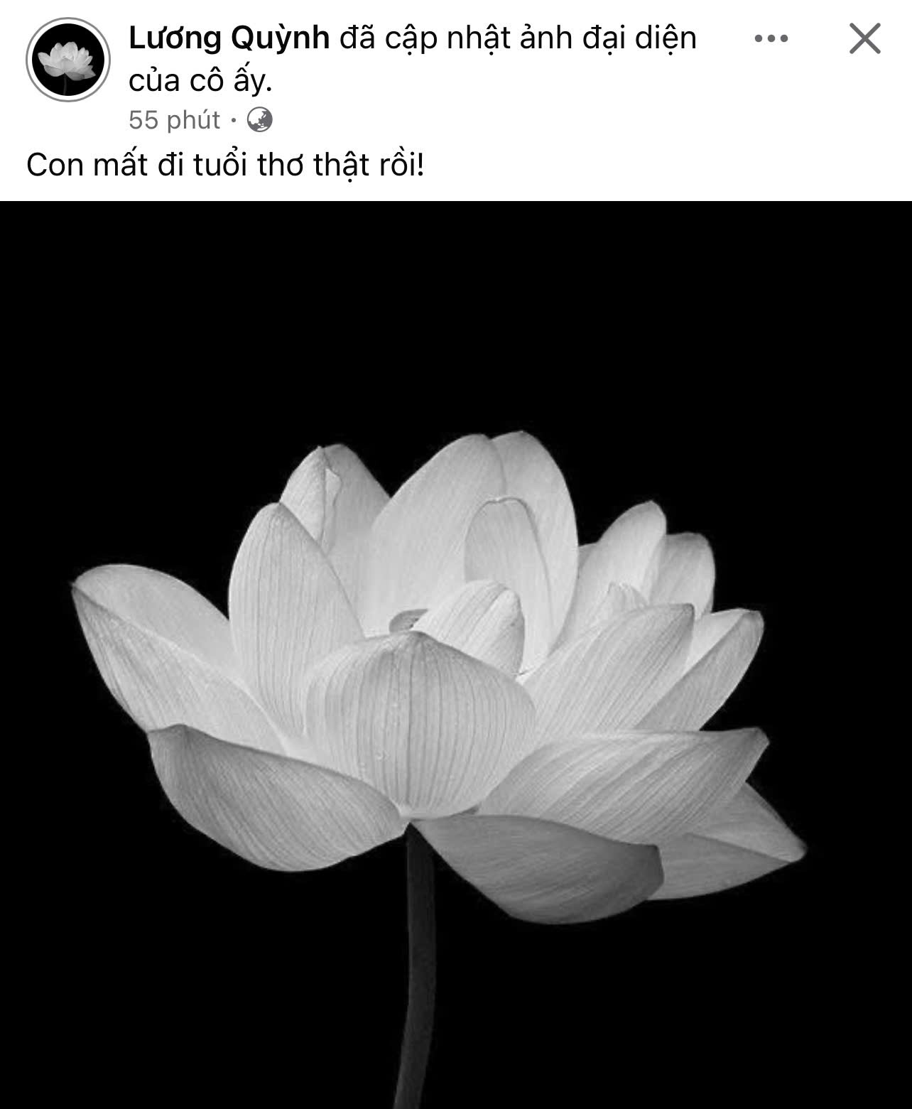 Bà ngoại Quỳnh Lương qua đời vì uống phải thuốc giả, Lê Giang cùng dàn sao đồng loạt chia buồn- Ảnh 1.