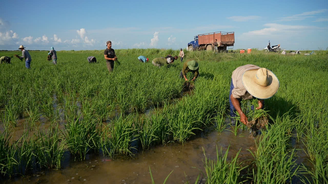 Việt Nam tặng món quà