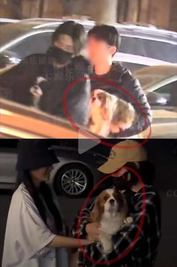 Cặp đôi Valentine showbiz lộ diện: Đã dọn về chung sống cùng nhau, bí mật bại lộ vì 1 chú cún- Ảnh 3.