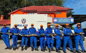 Phát hiện xác sinh vật lạ trên bãi biển, da óng ánh như ngọc trai gây sốc- Ảnh 4.