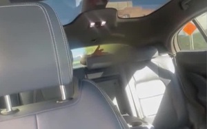 Phát hiện xác sinh vật lạ trên bãi biển, da óng ánh như ngọc trai gây sốc- Ảnh 3.