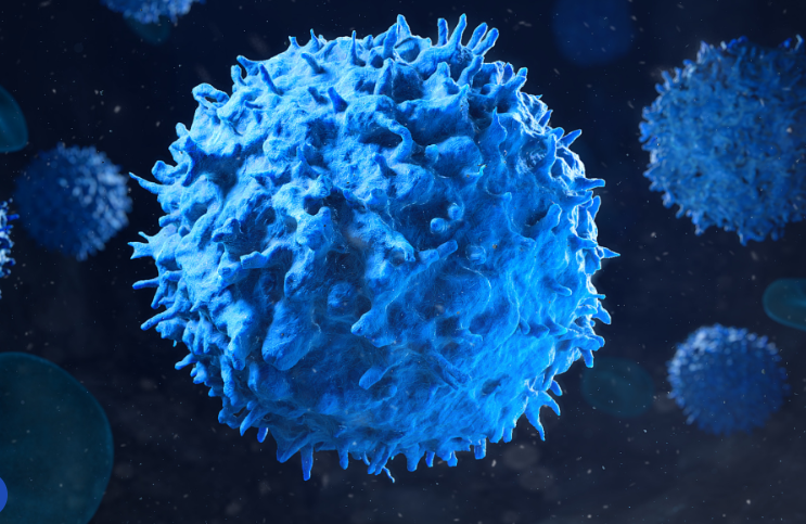 WHO: Có thể phòng ngừa 40% số ca ung thư trên toàn cầu- Ảnh 2. WHO: Có thể phòng ngừa 40% số ca ung thư trên toàn cầu- Ảnh 2.