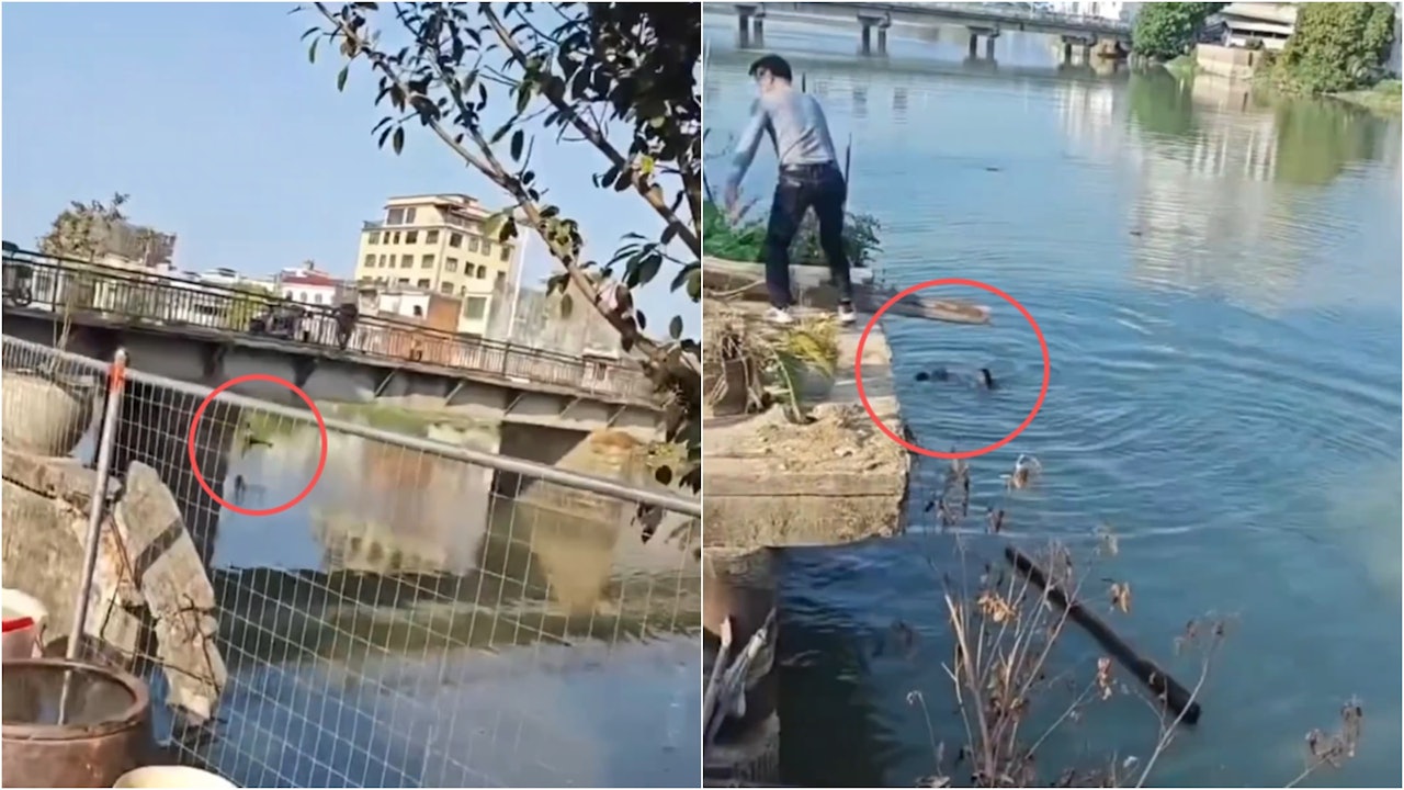 Cãi vã, bố ném con nhỏ xuống sông, mẹ nhảy xuống cứu- Ảnh 1.